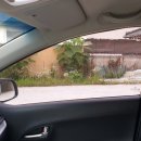 광주올카 이미지