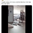 야야