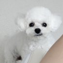 나엘농장 | 사랑한다는 말의 뜻을 알아가자