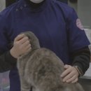 누리종합동물병원 이미지