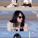 미스터돈 이미지