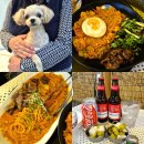 더 펫 애견샾 | 대전애견동반카페 + 식당 찾는다면? 비래키키 키키펫 강아지동반 식사 후기
