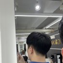그레이스헤어갤러리 네이버블로그