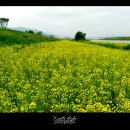 남양산역 이미지