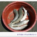 푸름농장2 이미지