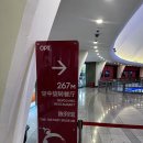 신비로-10 | 14개월 아기랑 상하이 가족여행ㅣ동방명주 회전 레스토랑 후기ㅣ루짜쭈이 보행교까지