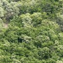 산처럼물처럼 | (강원/원주) 오크밸리 [뮤지엄 산] 숯·물·빛이 만들어낸 공간에서 <이배: 기다리며> 전시 보고온 후기