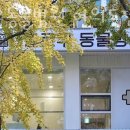 헬로우동물병원 이미지