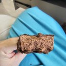 명가아이스크림할인점 | 편의점 아이스크림 추천! 빙그레 끌레도르 헤이즐넛 초코 신제품 먹어본 솔직 후기 (신상 디저트 추천)