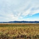 신성리생태공원 이미지