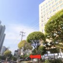 가까운성모약국 이미지