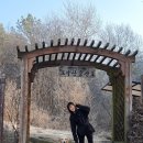 가납리마을회관 | 애견동반 등산하기! 호두와 함께 양주 도락산 산행후기 그리고 양주김치찜먹기