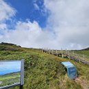 모텔돼지꿈 이미지