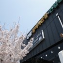 형제민물장어 이미지