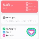 은행나무시장 이미지