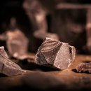 기장동물병원 이미지