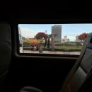 보배카써비스 | 베트남 다낭 렌트카 비용 기사 포함 12시간 가족여행 추천ㅣ피크타임 할인코드