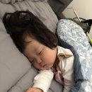 대숲민박 이미지