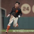 센터라인