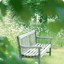 사랑마음이네 이미지