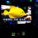 월드컵노래방 티스토리