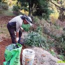 고실농장 이미지