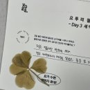 [공지] 새벽수련일기 | 새벽요가 챌린지 (요투피 챌린지) 후기 @요가투더피플 망포역요가 매탄동요가