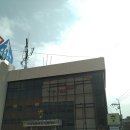 군산탑마트 | 양산 "라이온식당" 서리단길물금맛집