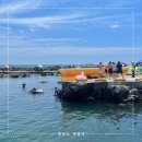 울산잠수 | 울산 판지항 방문 후기(스노클링, 해루질, 주차, 무료 구명조끼 등)