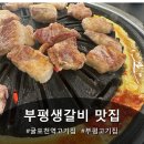 부평고기집 | 부평 고기집 "부평생갈비" 다녀온후기