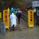 청령포초등학교 이미지