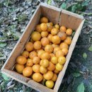 이슬농원 이미지