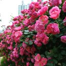 중마 청소년센터앞 이미지