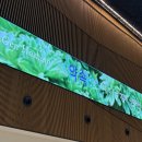 오토오아시스부천고속점 | [260206] 인스파이어 리조트, Gen Hoshino Live in Korea "약속", 그리고 이것저것