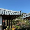 에이스텐트세탁 이미지