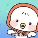 25시비디오 이미지