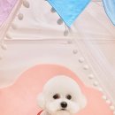 애견#(샾) 이미지