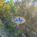 봉화산코스 이미지