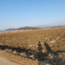 주용농장 이미지