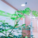 토요)실무엑셀과 파워포인트 이미지