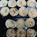 대전둔천초등학교 이미지