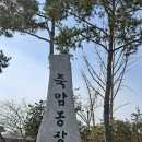 죽암농장 소식 이미지