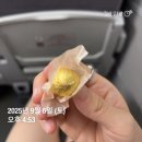 동양한의원 | [공지] 세종 공진단 한의원 l 대표원장이 직접 조제하는 경희피어라한의원 대전 공진단 추천 수험생...