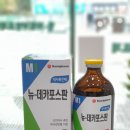 신진약국 이미지