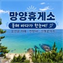 동해(동해)휴게소 로봇커피 | 망양휴게소, 동해 바다가 한눈에 펼쳐지는 오션뷰 휴게소 이용후기
