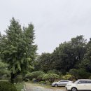 부발중앙로 | 더반올가닉 이천 솔직후기 | 피자, 빵 내돈내산, 메뉴, 주차