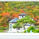 배내무등골길 이미지