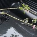 서울종묘사 이미지