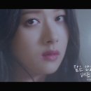 혜미비디오 이미지