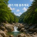 일사대 | 🌊 올여름 첫 계곡 여행지 추천! 가평 용추계곡 완벽 후기